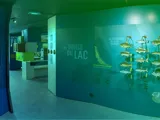 Aqualis