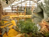 La Ferme aux Crocodiles - Réserve Tropicale