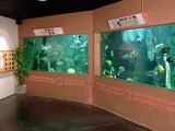 Aquarium des Tropiques
