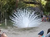 Le Zoo d'Upie