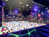 Sensas