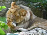 Zoo de Servion