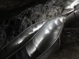 Mines de sel de Bex