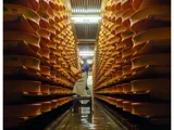 Les fromages de Savoie