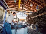 Distillerie Bleu Provence