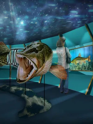 Aqualis