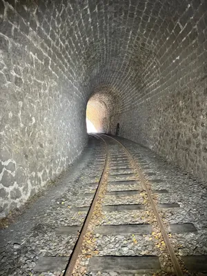 Vélorail des Alpes