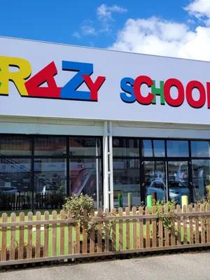 Crazy School