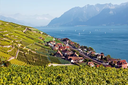 Suisse