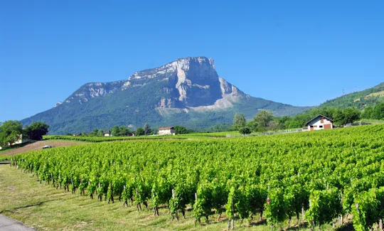 Savoie