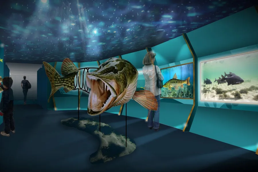 Aqualis