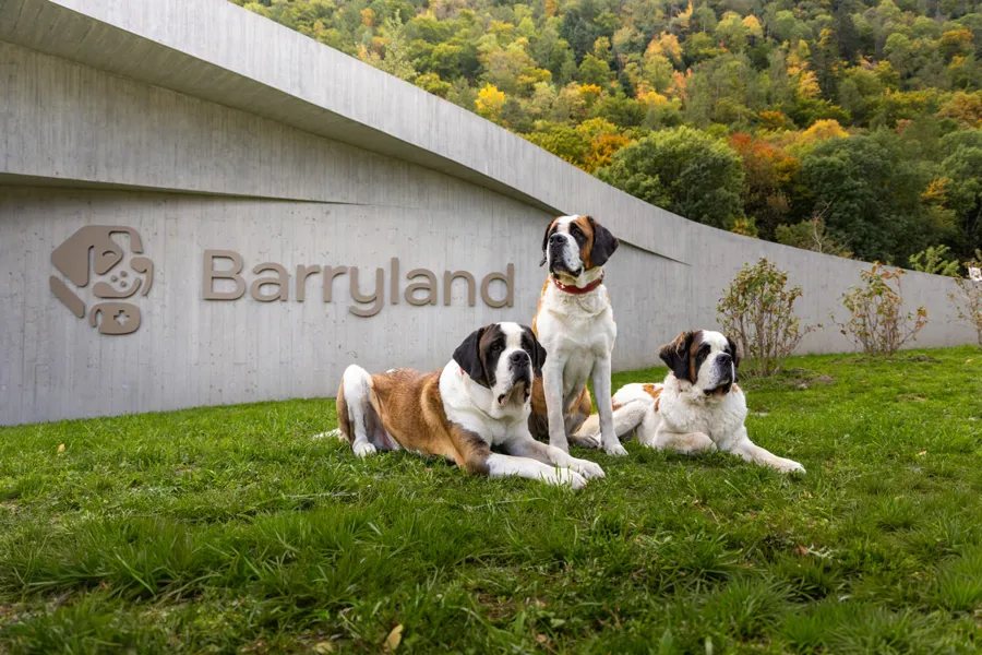 Barryland