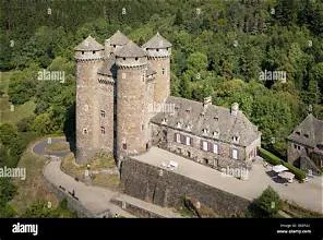 CHATEAU D ANJONY