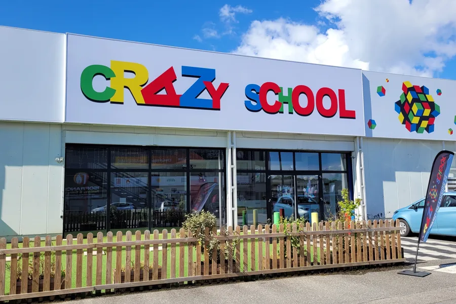 Crazy School